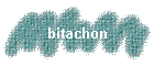 bitachon