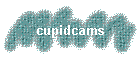 cupidcams